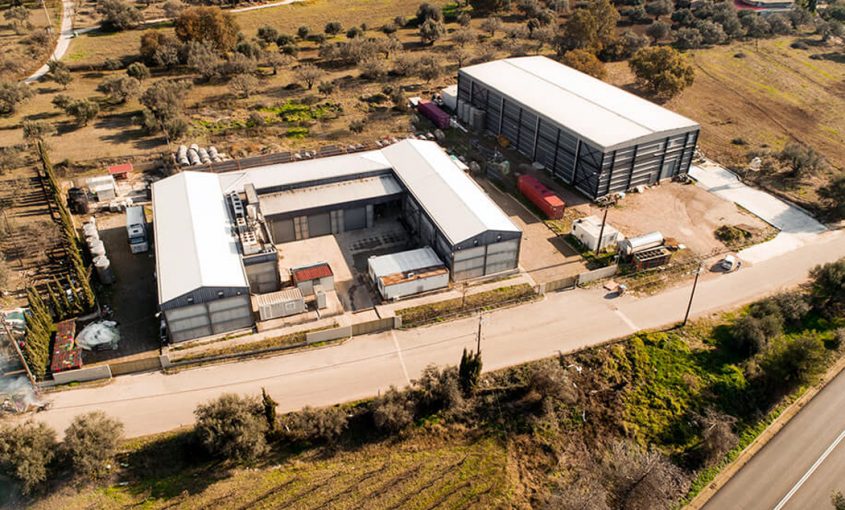 Antonopoulos Winery - Steel Buildings